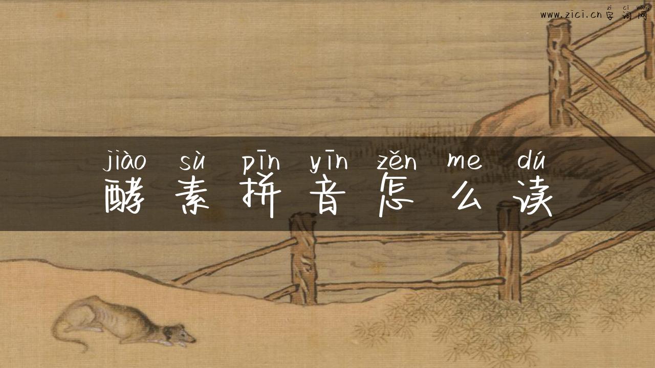 酵素拼音怎么读