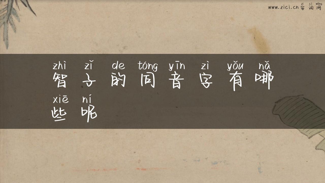 智子的同音字有哪些呢