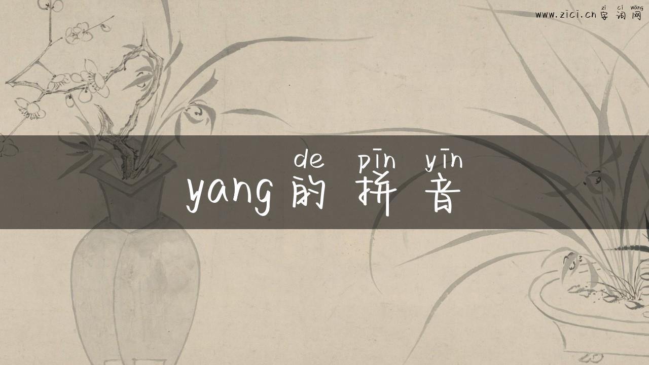 yang的拼音
