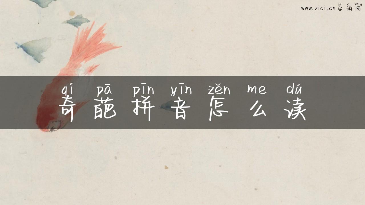 奇葩拼音怎么读