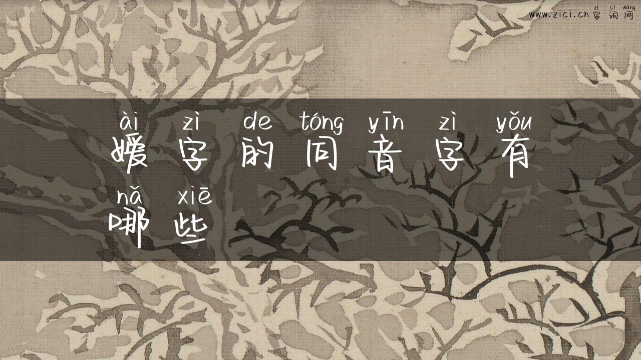嫒字的同音字有哪些