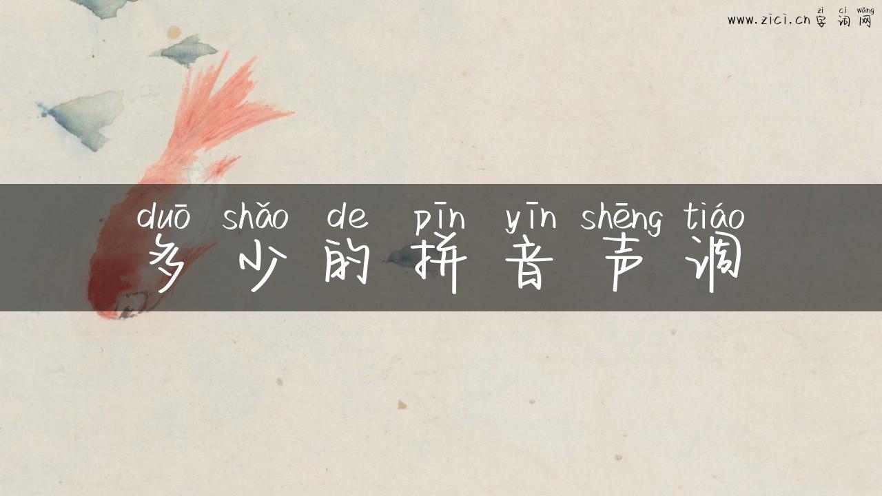多少的拼音声调