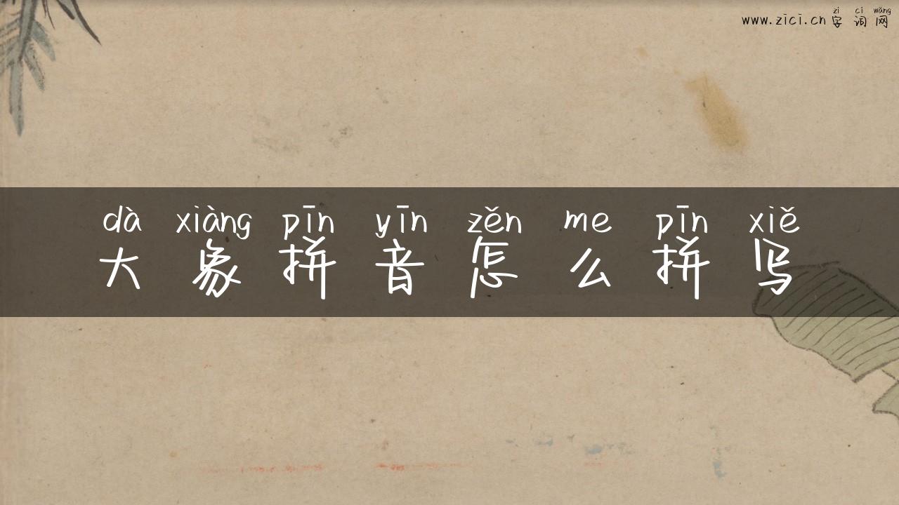 大象拼音怎么拼写