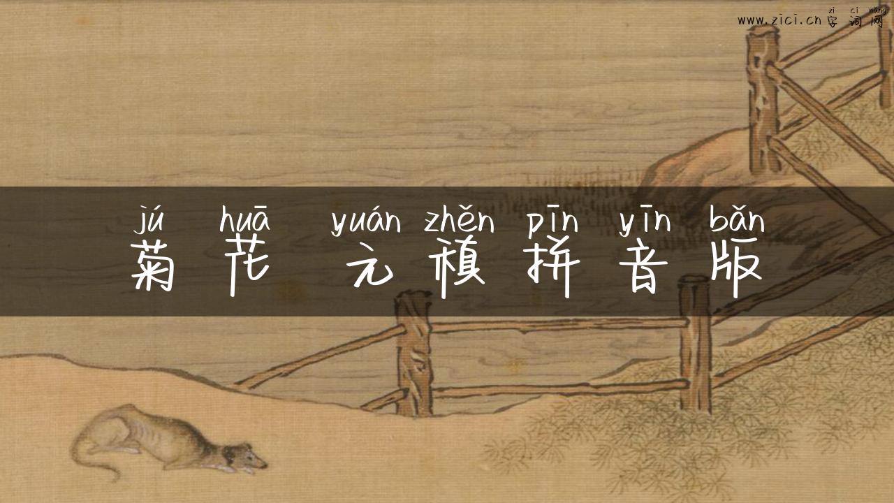 菊花 元稹拼音版