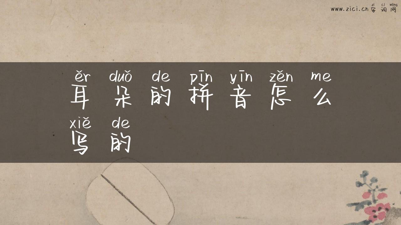 耳朵的拼音怎么写的