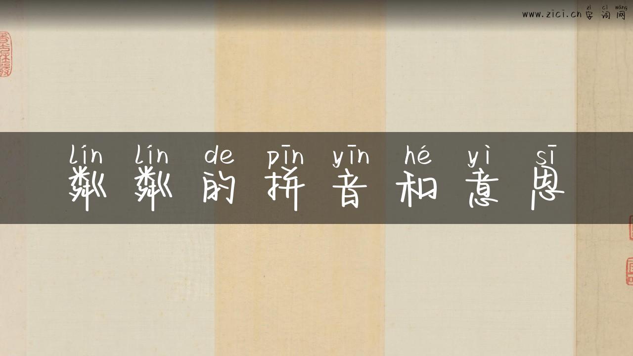 粼粼的拼音和意思