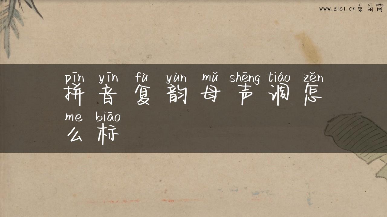 拼音复韵母声调怎么标