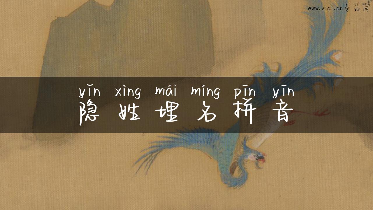 隐姓埋名拼音