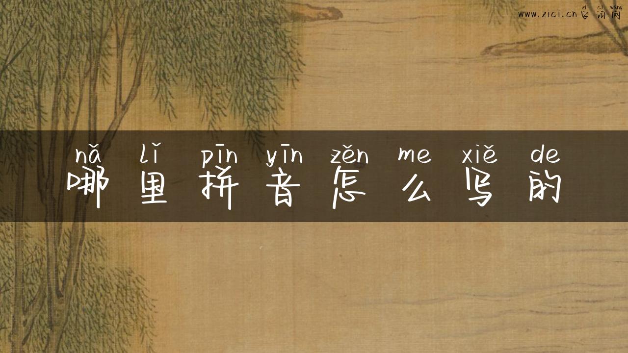 哪里拼音怎么写的