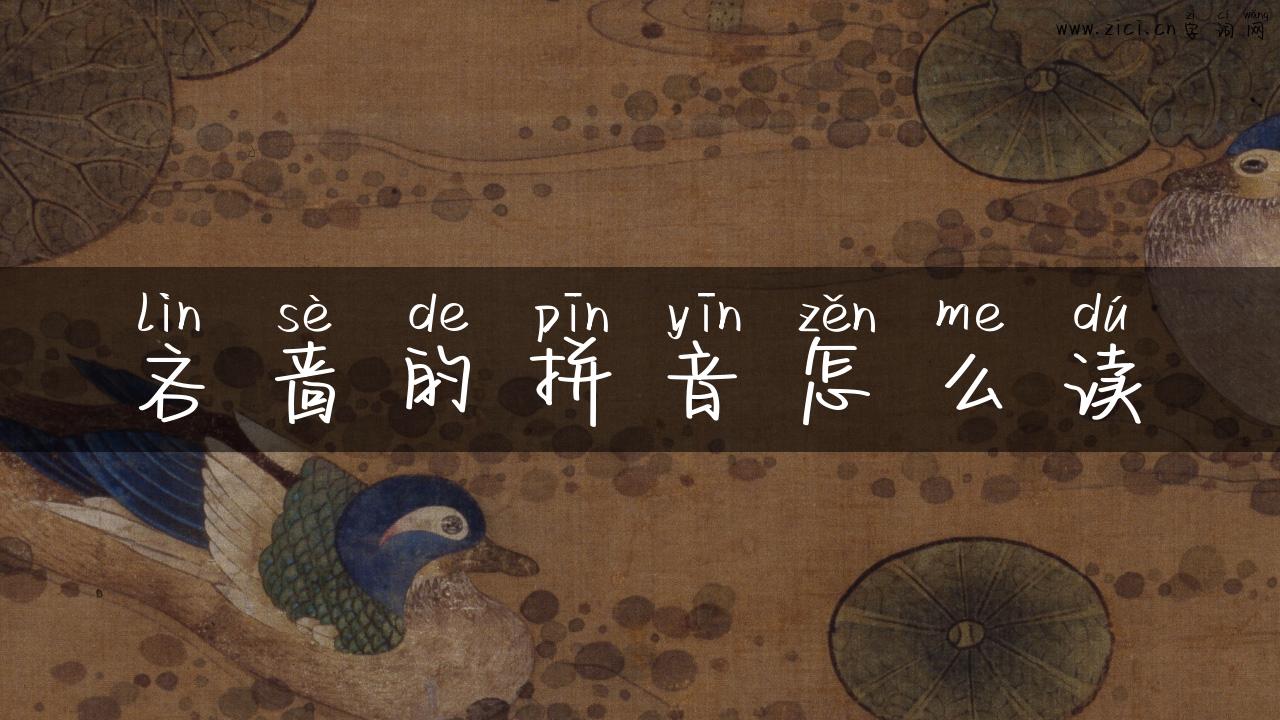 吝啬的拼音怎么读