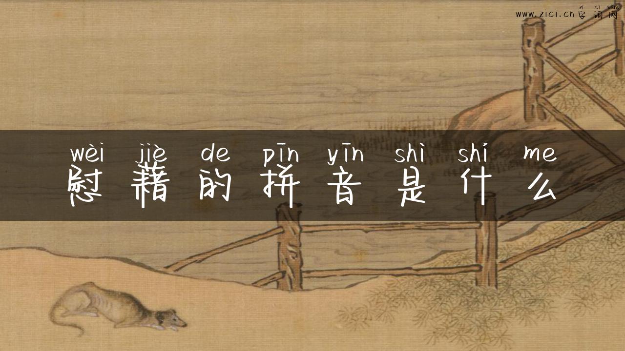 慰藉的拼音是什么