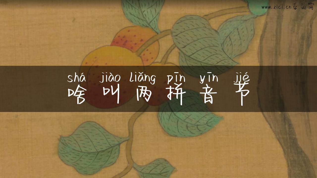 啥叫两拼音节