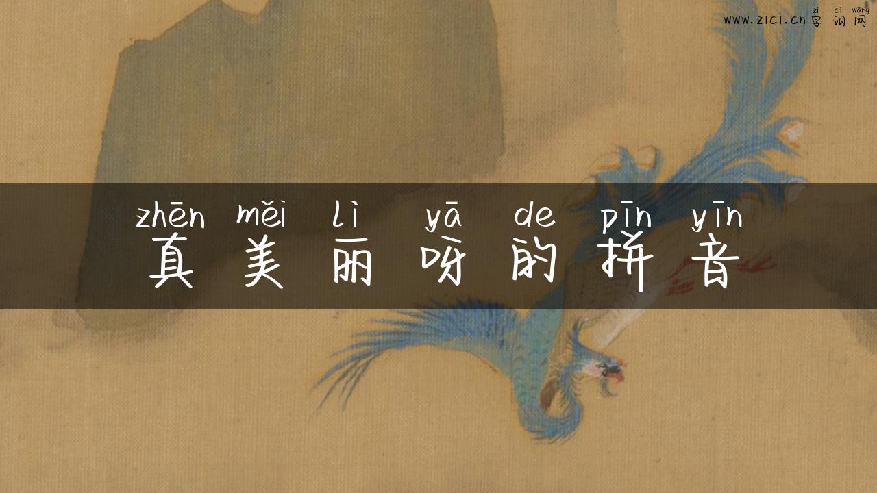 真美丽呀的拼音
