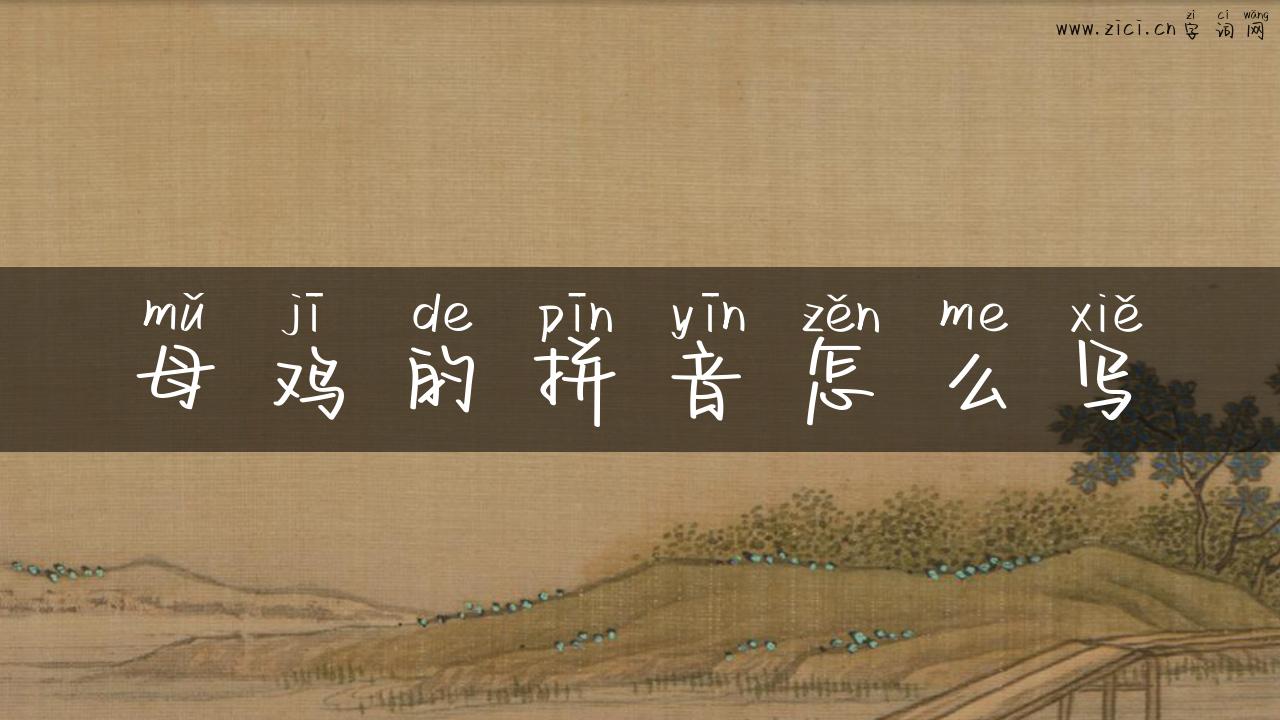 母鸡的拼音怎么写