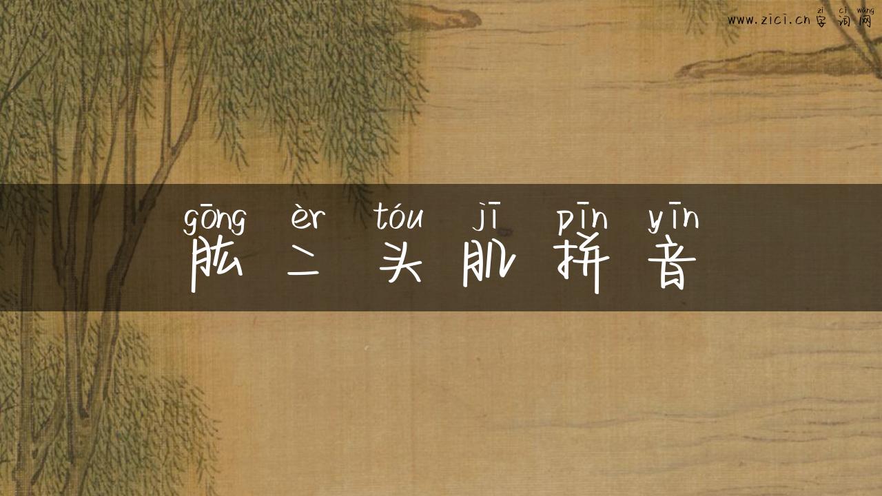肱二头肌拼音