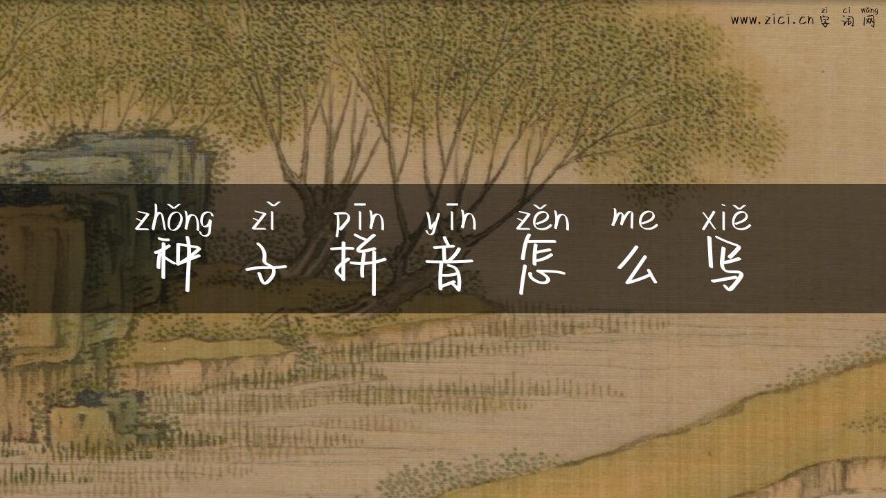 种子拼音怎么写