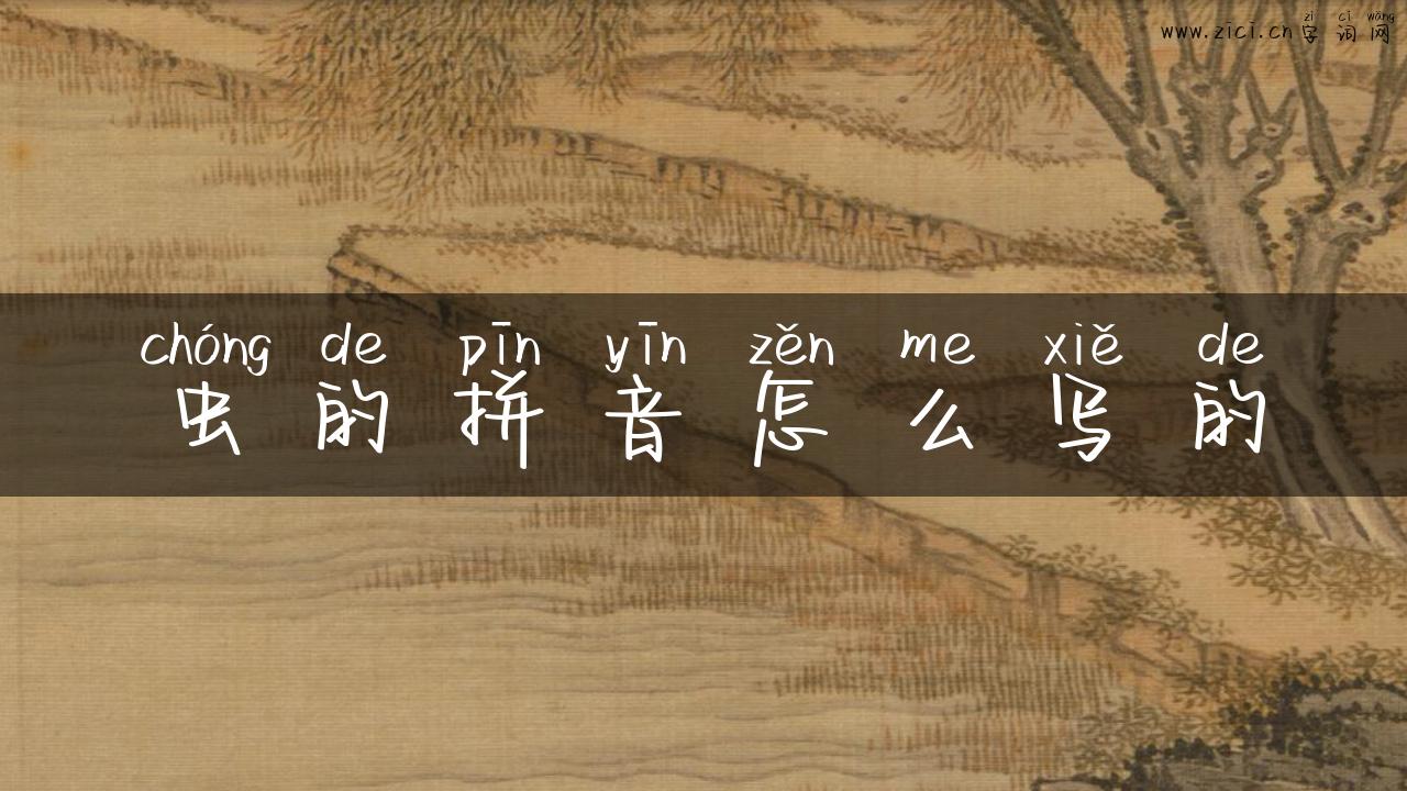虫的拼音怎么写的
