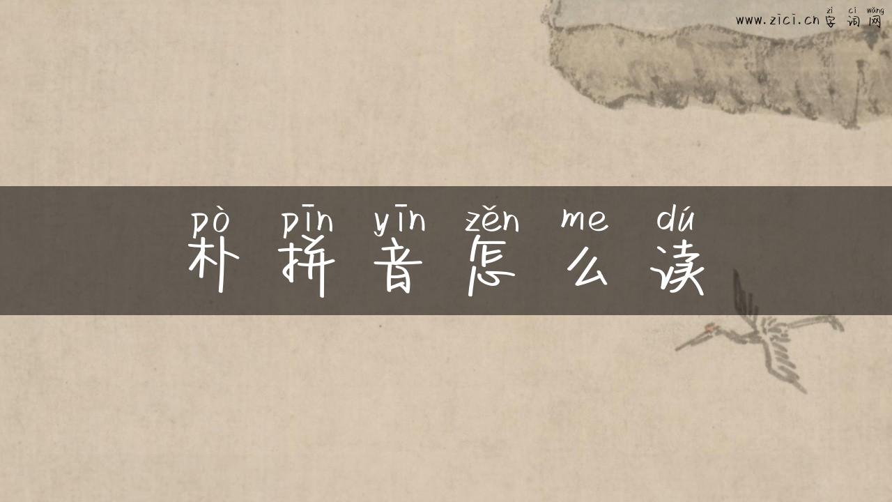 朴拼音怎么读