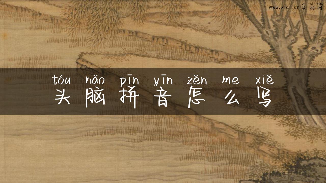头脑拼音怎么写