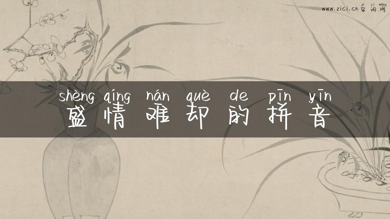 盛情难却的拼音