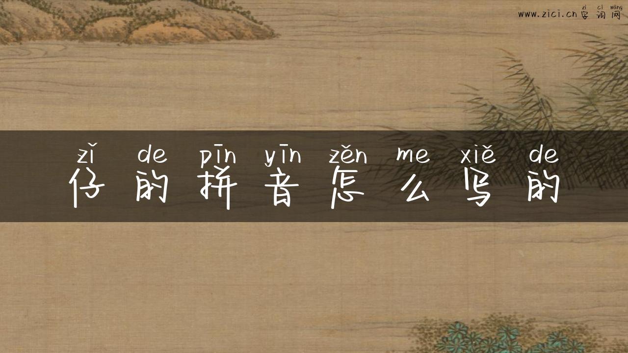 仔的拼音怎么写的