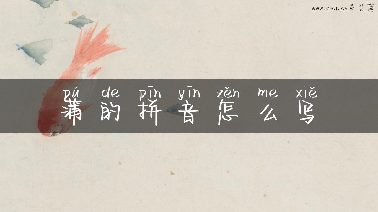 蒲的拼音怎么写