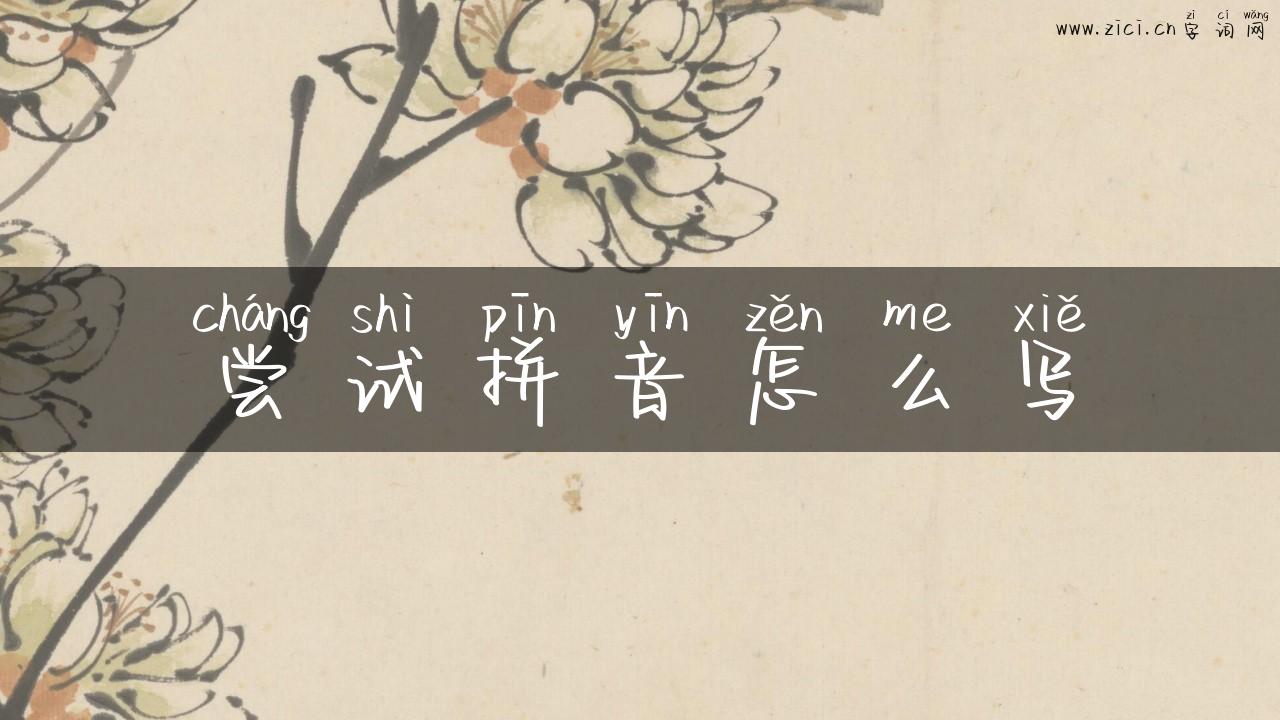 尝试拼音怎么写