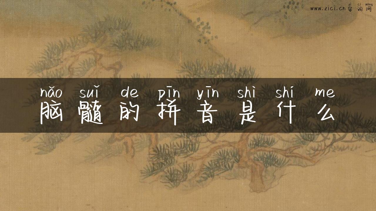 脑髓的拼音是什么