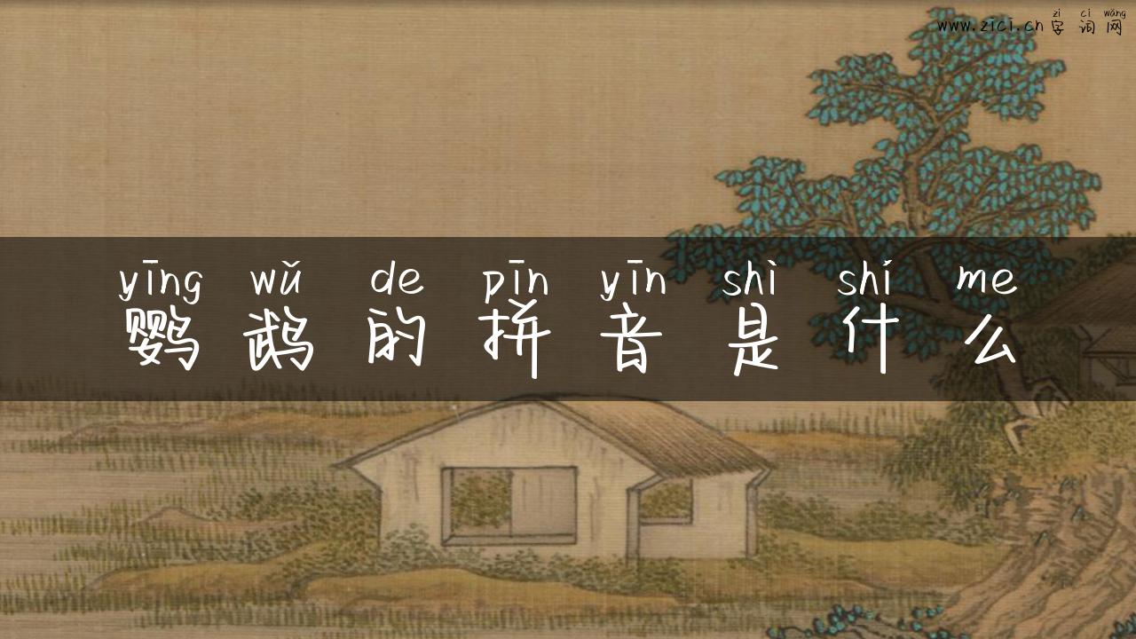 鹦鹉的拼音是什么