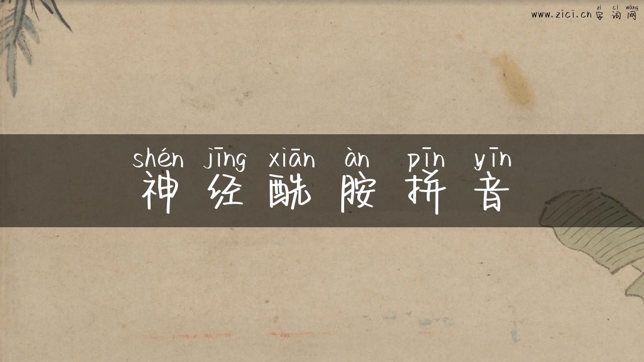 神经酰胺拼音