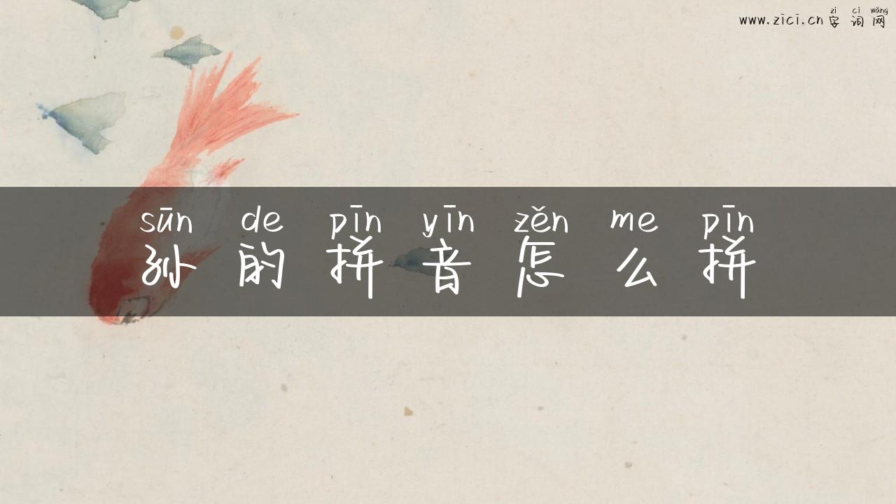 孙的拼音怎么拼