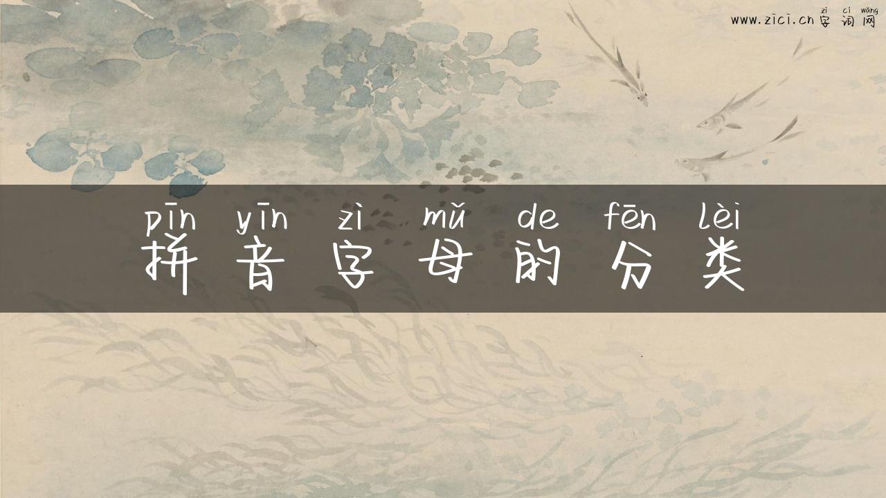 拼音字母的分类