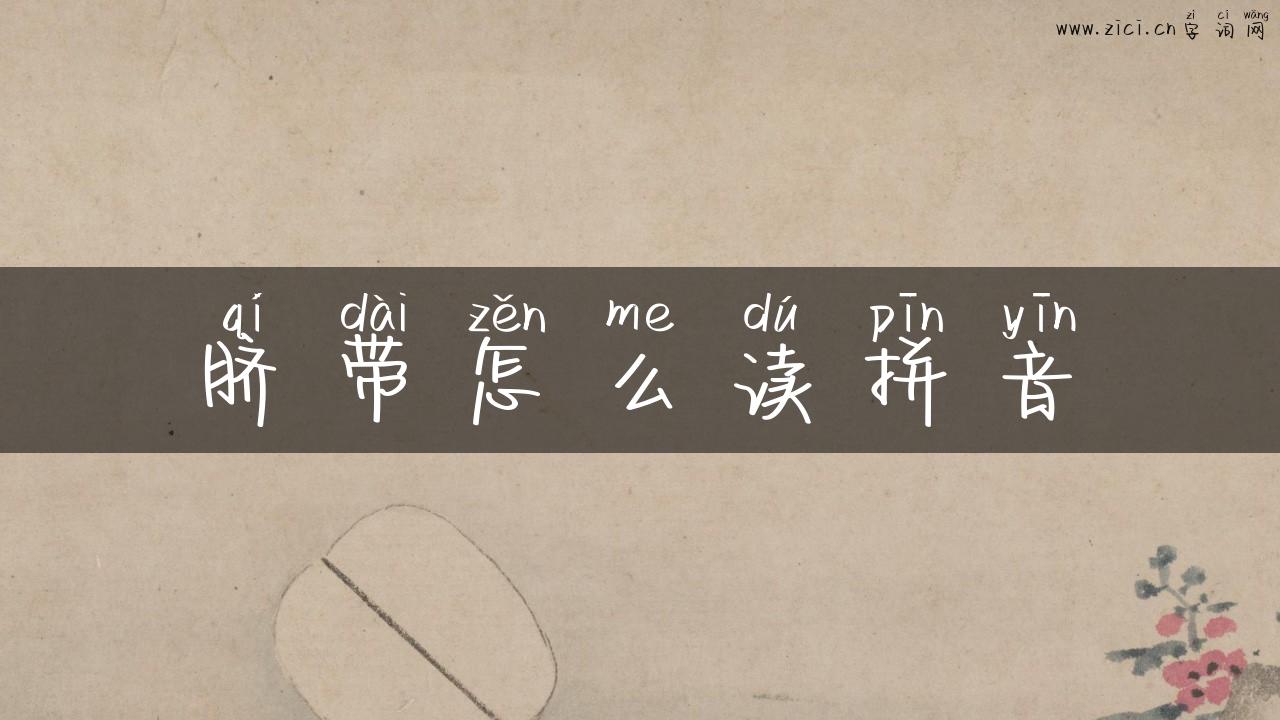 脐带怎么读拼音