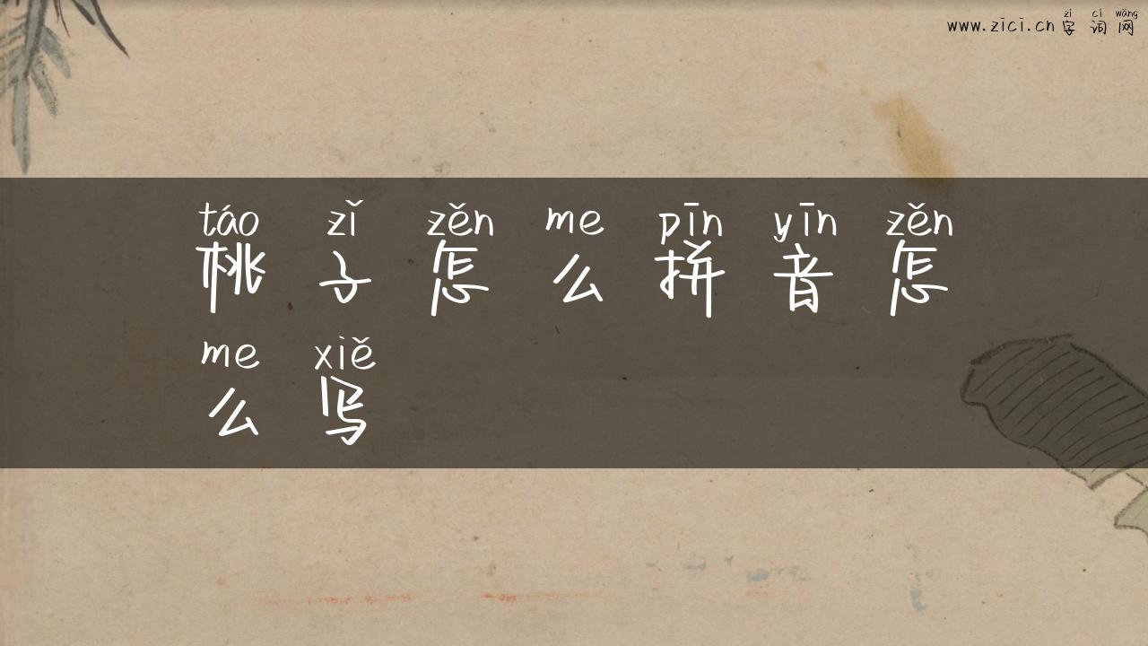 桃子怎么拼音怎么写