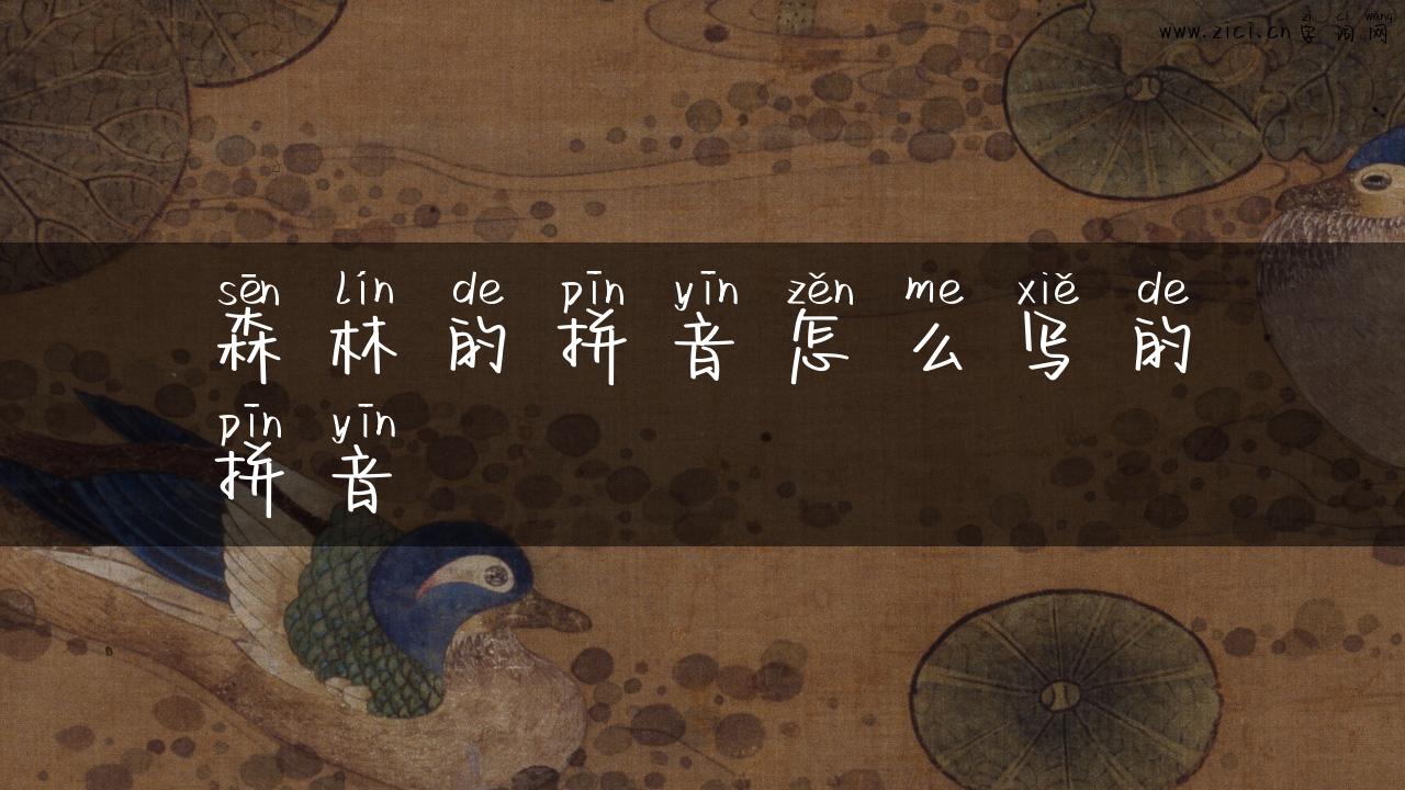 森林的拼音怎么写的拼音
