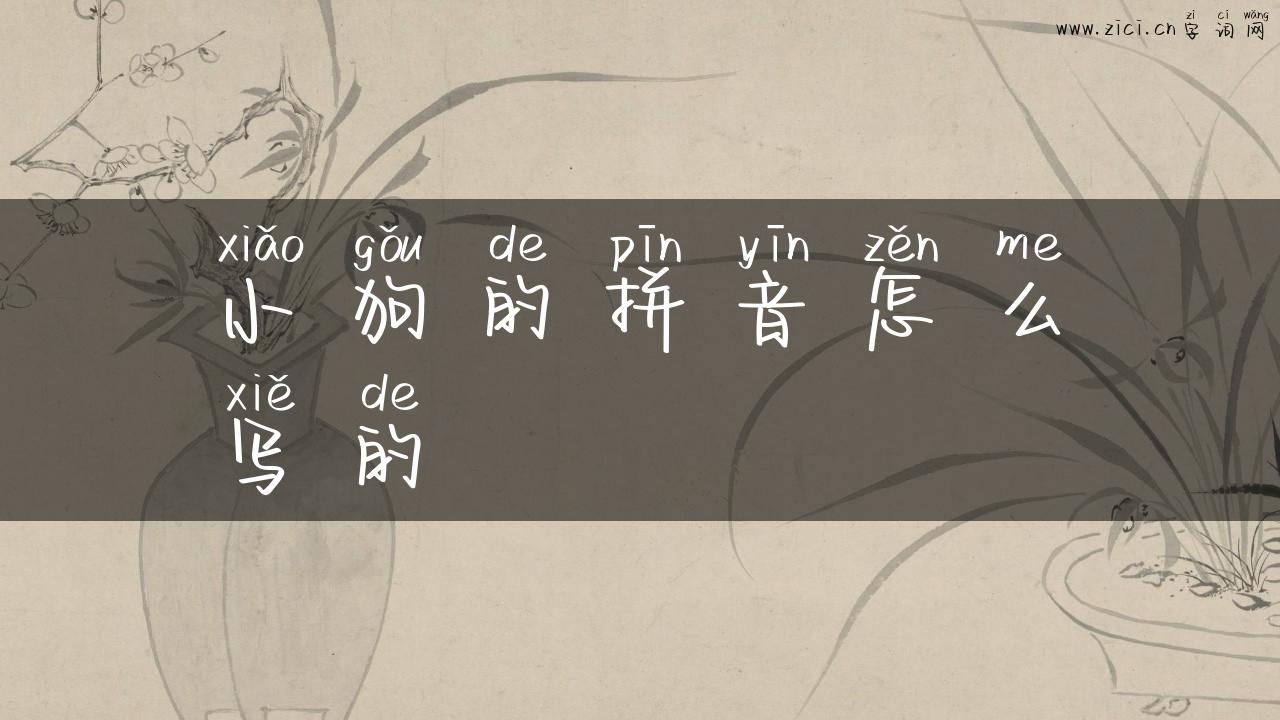 小狗的拼音怎么写的