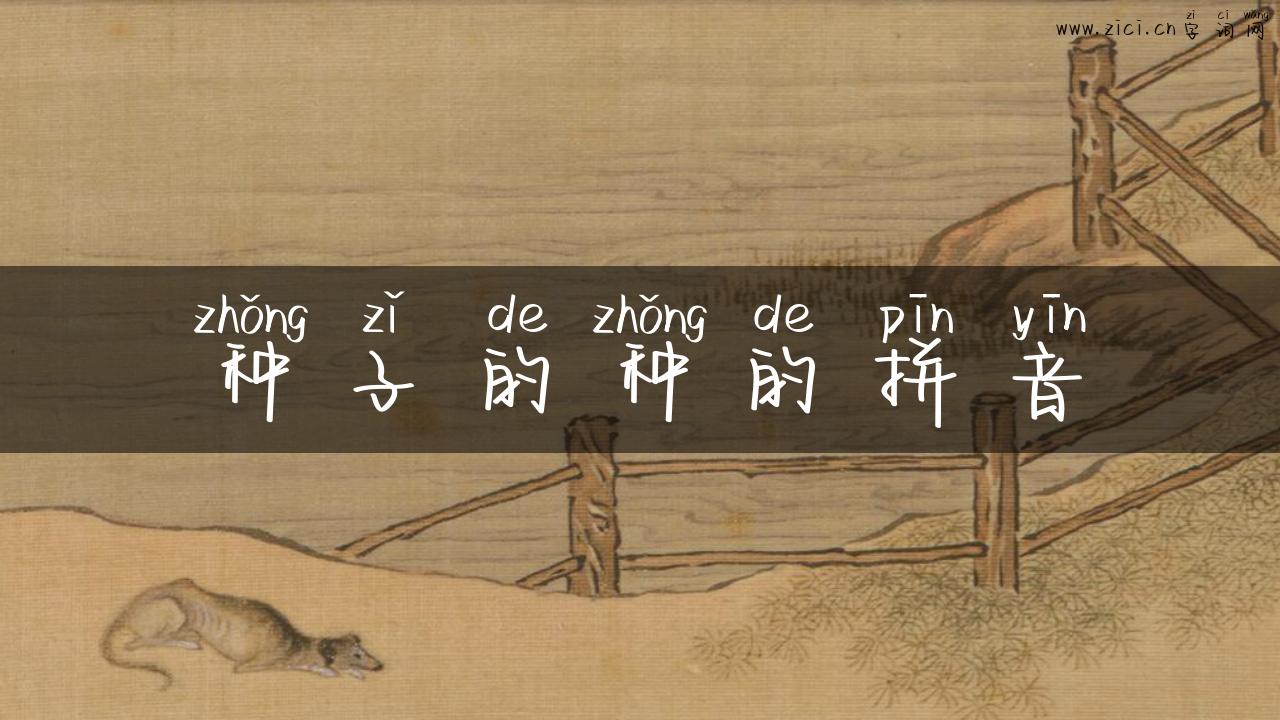 种子的种的拼音
