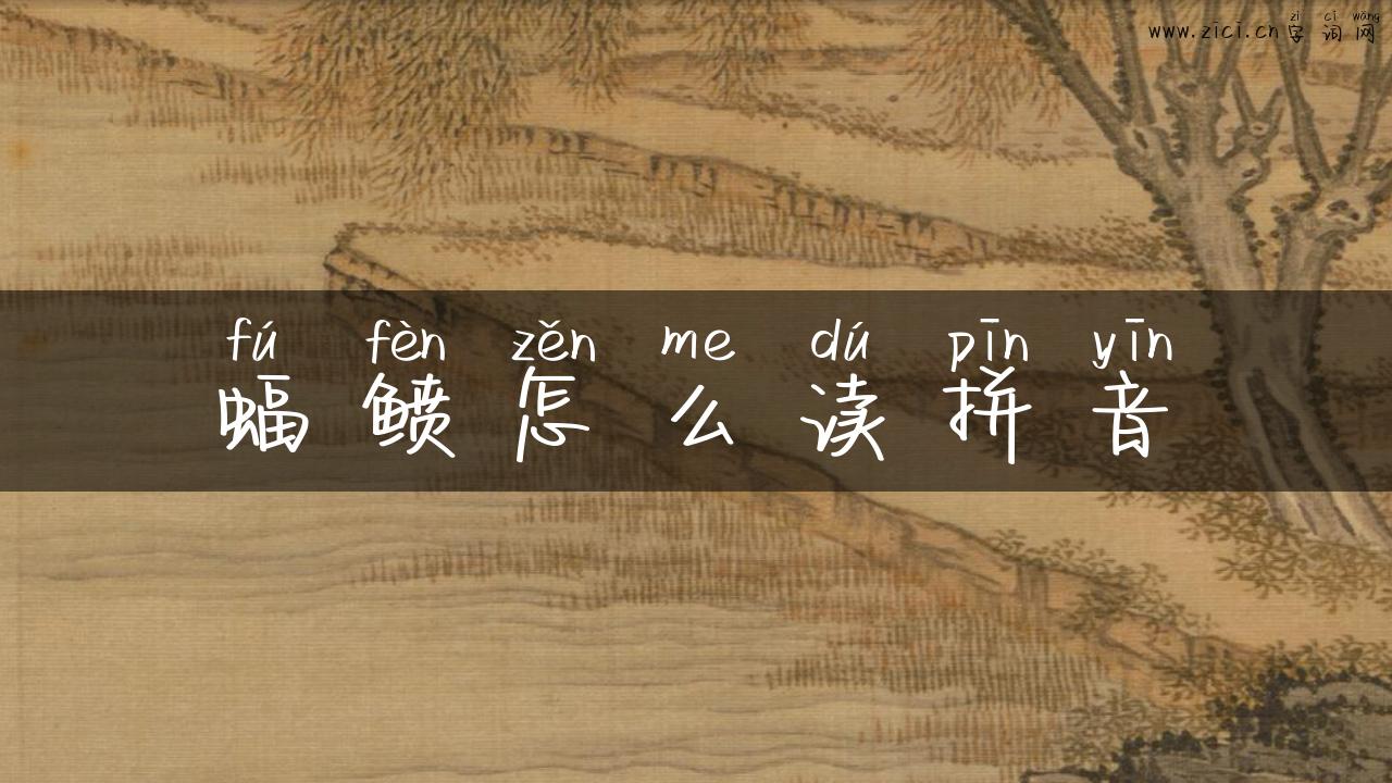 蝠鲼怎么读拼音