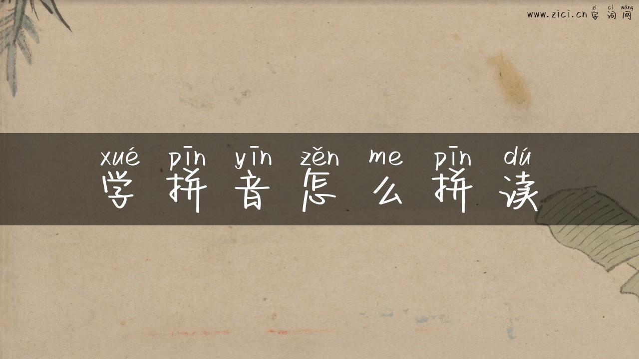 学拼音怎么拼读