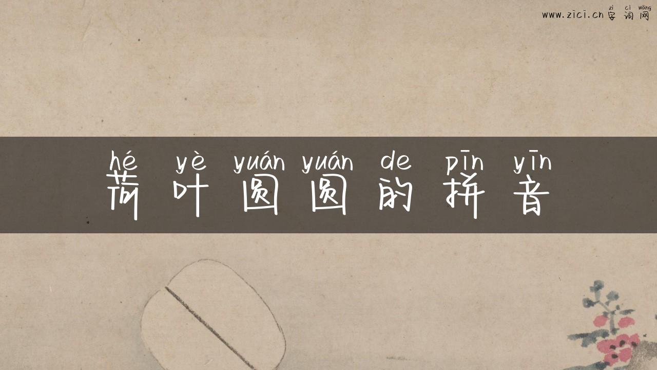 荷叶圆圆的拼音