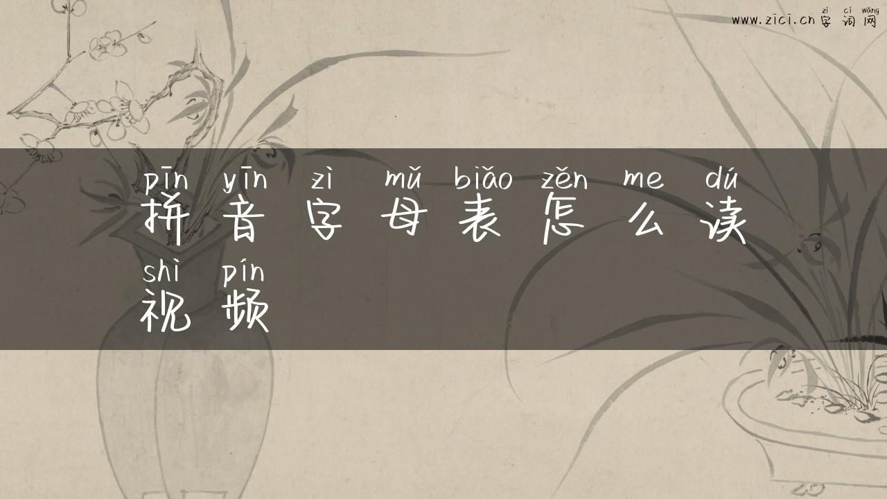 拼音字母表怎么读视频