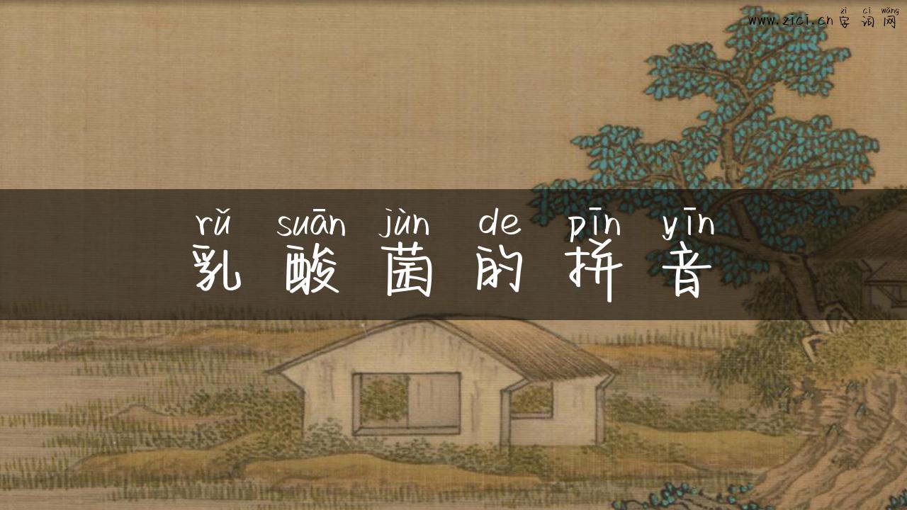 乳酸菌的拼音