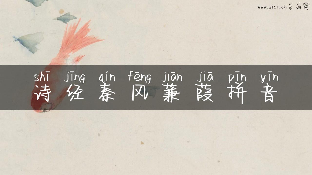 诗经秦风蒹葭拼音