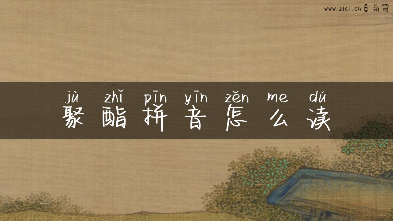 聚酯拼音怎么读