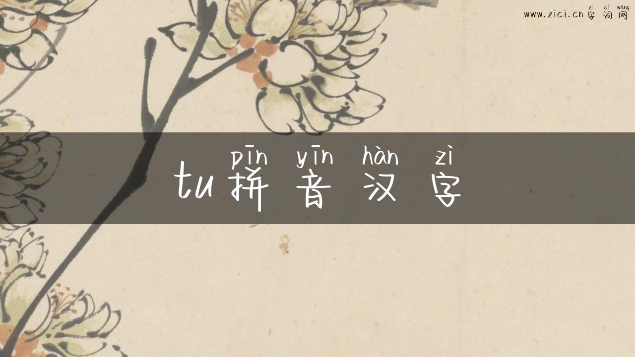 tu拼音汉字