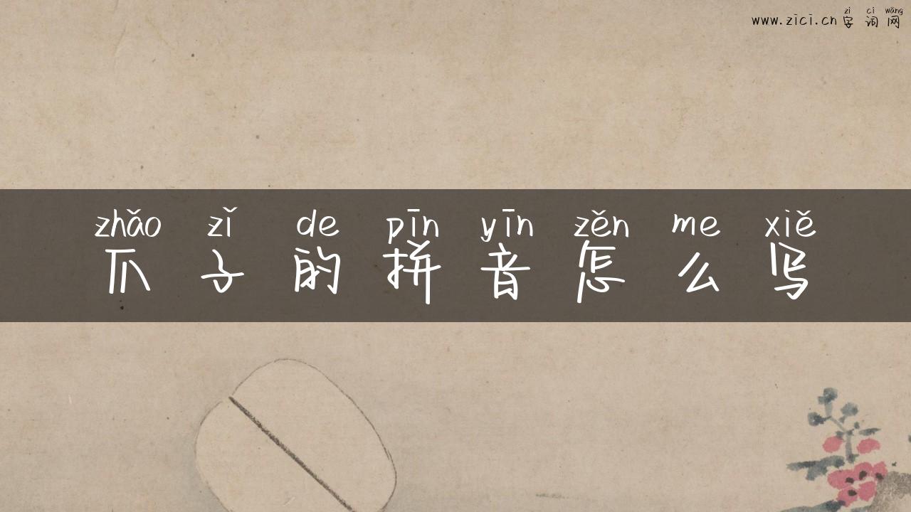 爪子的拼音怎么写
