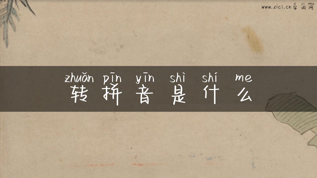 转拼音是什么