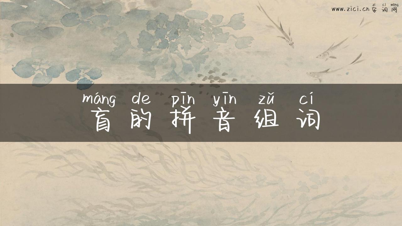盲的拼音组词