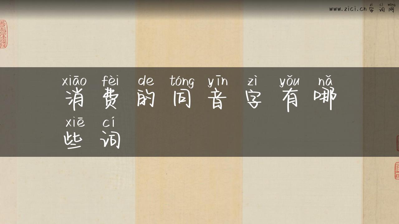 消费的同音字有哪些词