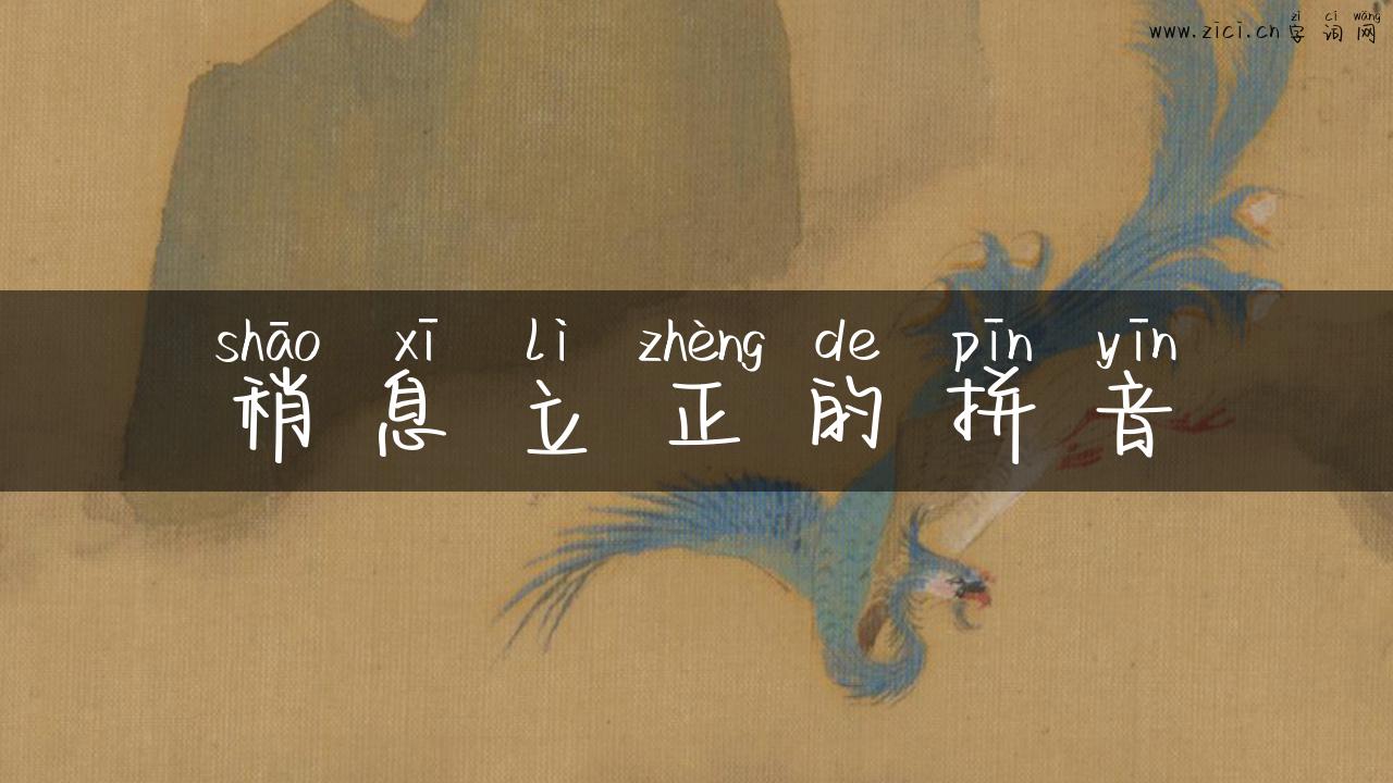 稍息立正的拼音